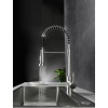 1014-00-a Kitchen tap with spring stainless steel, Prosan